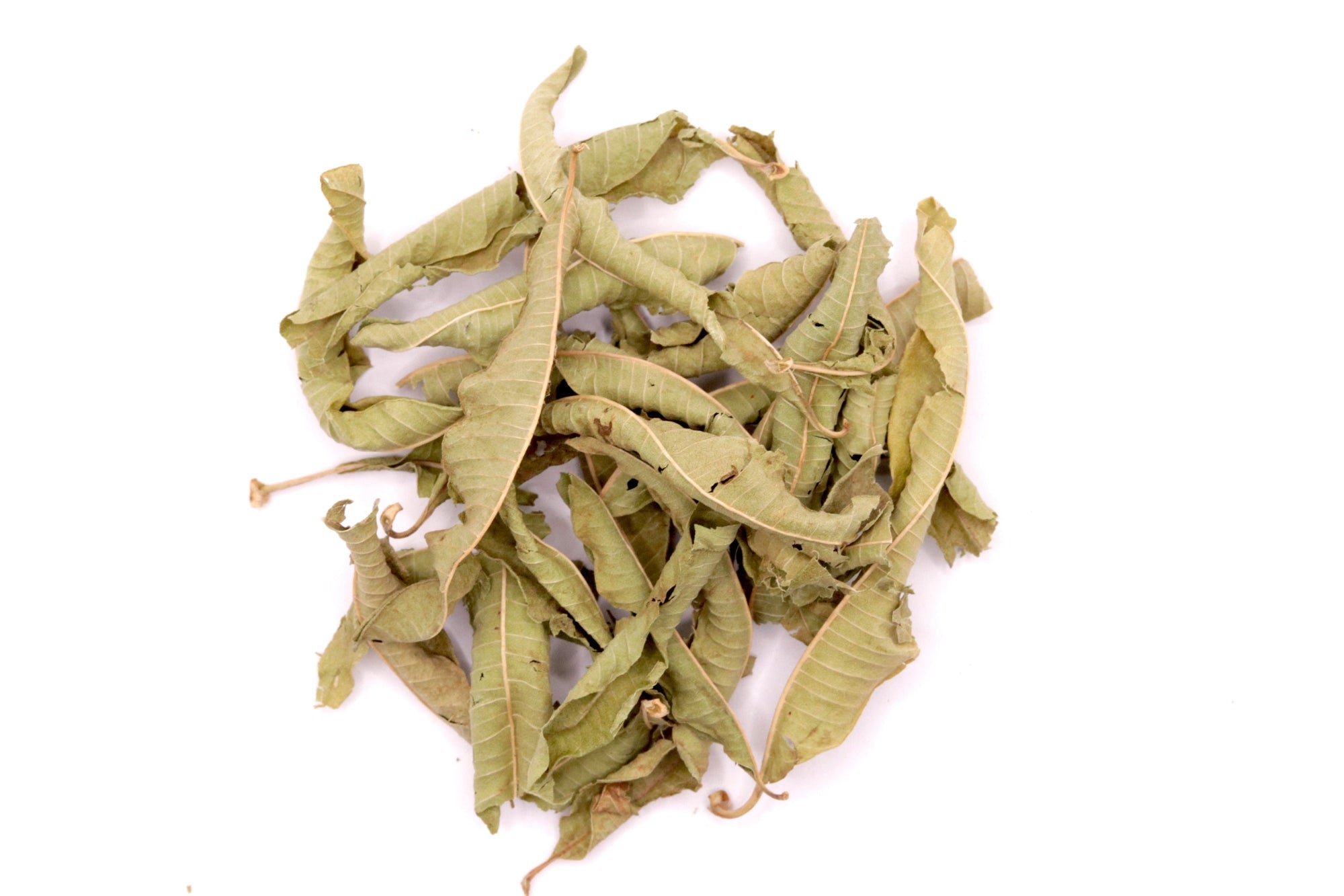 Verveine Ganze Blätter