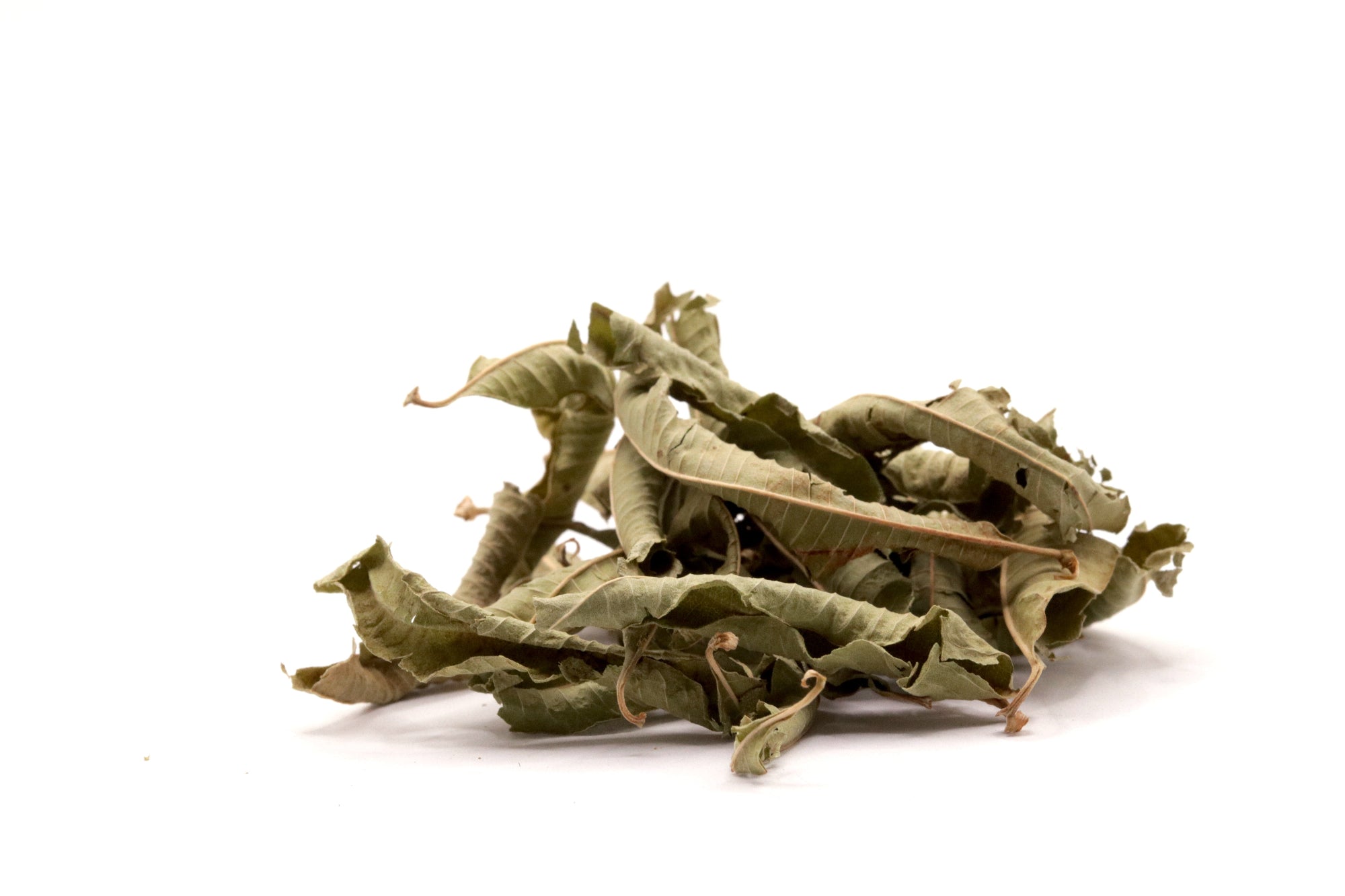 Verveine Ganze Blätter