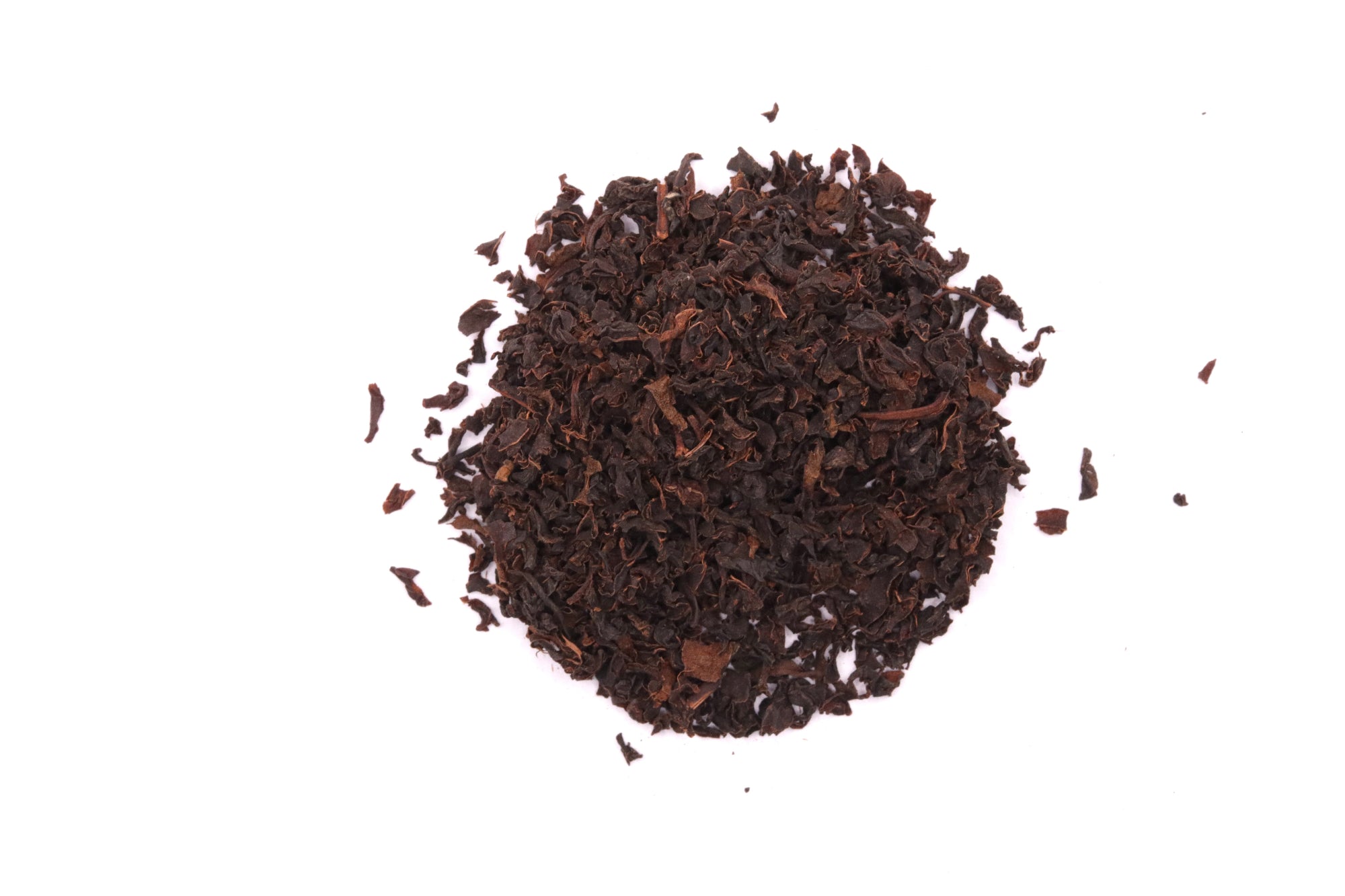 Nilgiri Thiasola