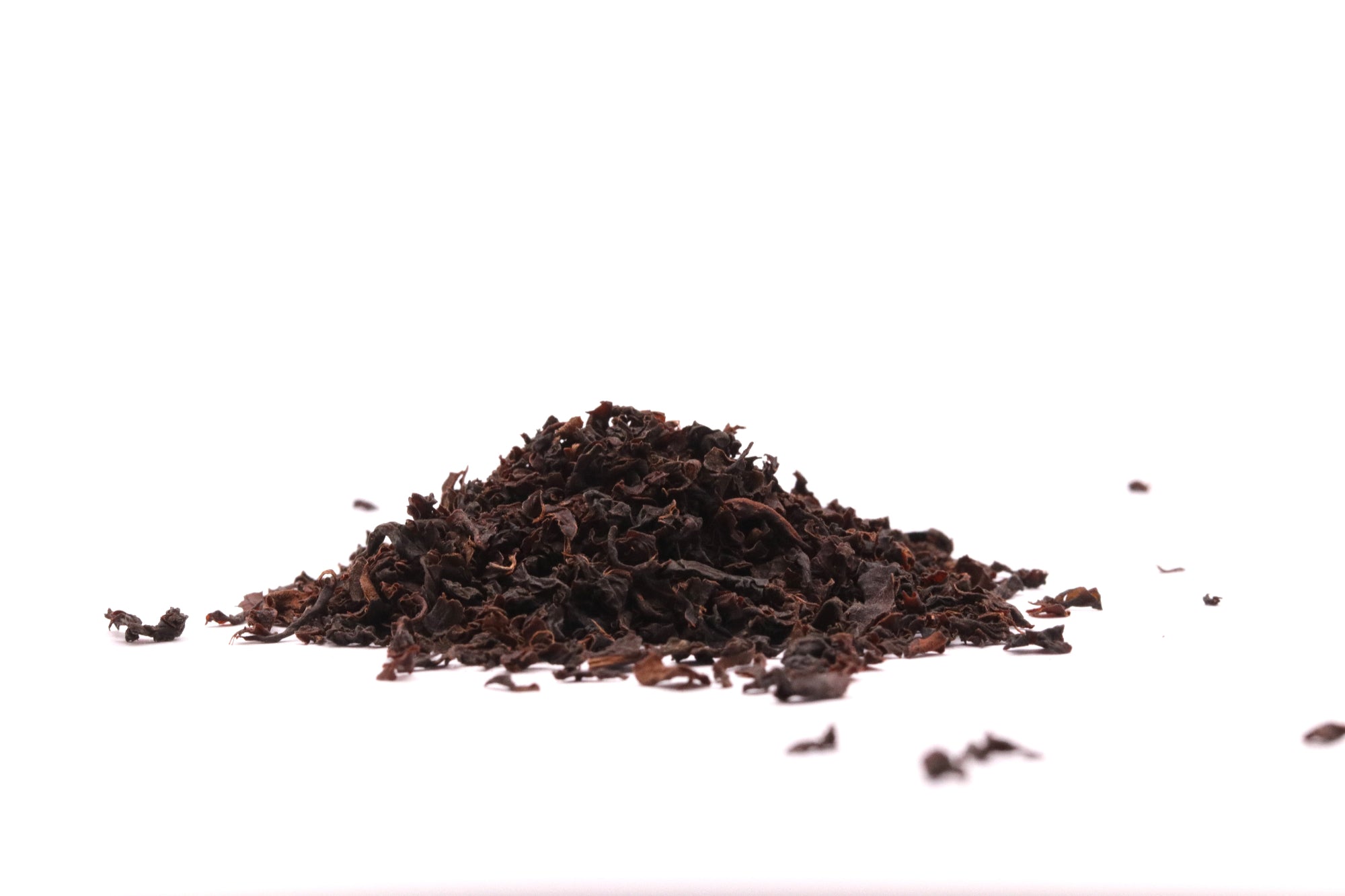 Nilgiri Thiasola